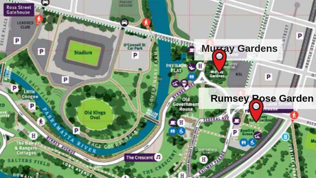 Murray Gardens, Parramatta Park