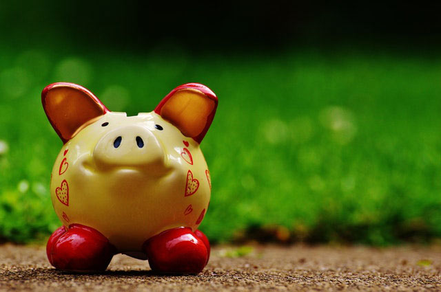 Piggy Bank - saving for home deposit