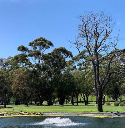 Cammeray Golf Course