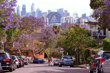 Neutral Bay: A Sydney Suburb Guide