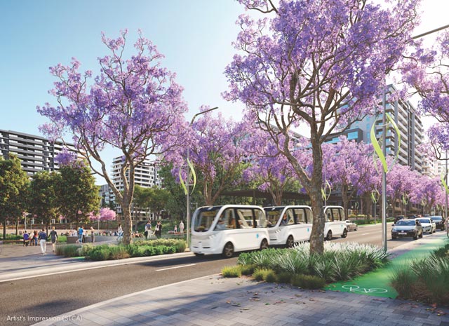 Melrose Park North Concept Picture Showing Autonomous car driving down a Jacaranda lined street